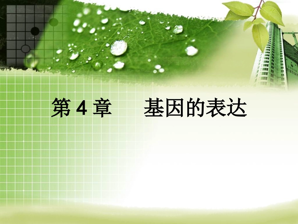 第一节基因指导蛋白质的合成_第1页