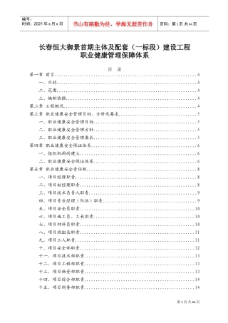 职业健康安全管理(DOC72页)
