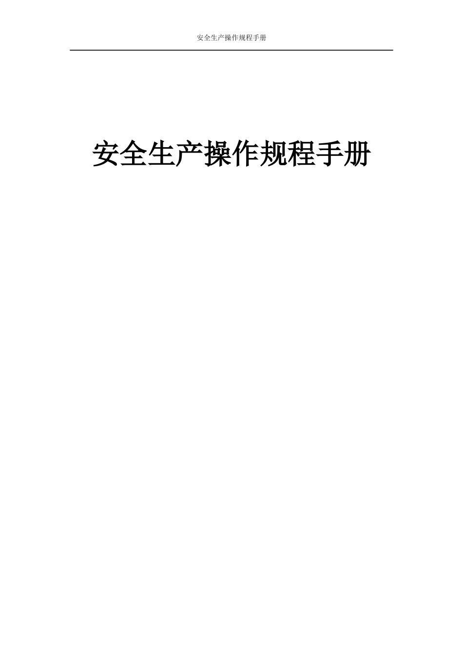 安全生产操作手册_第1页