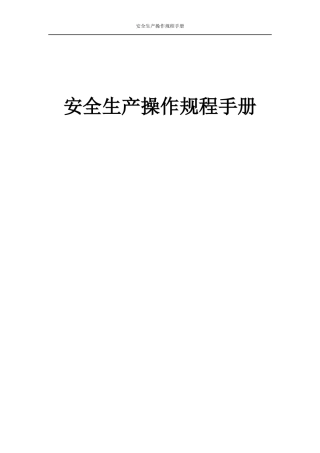 安全生产操作手册
