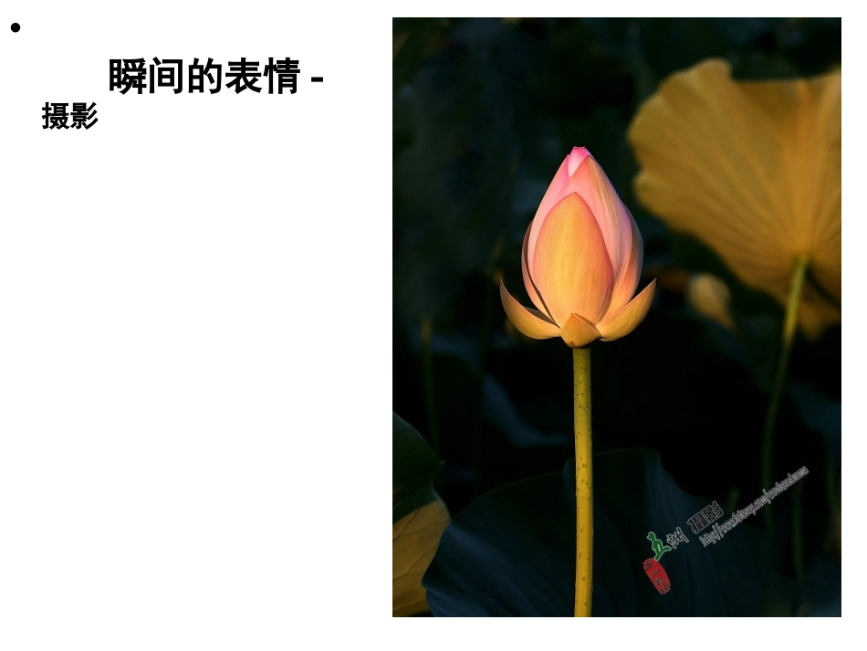 第七课摄影基础_第1页