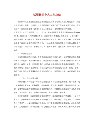 试用转正个人工作总结 