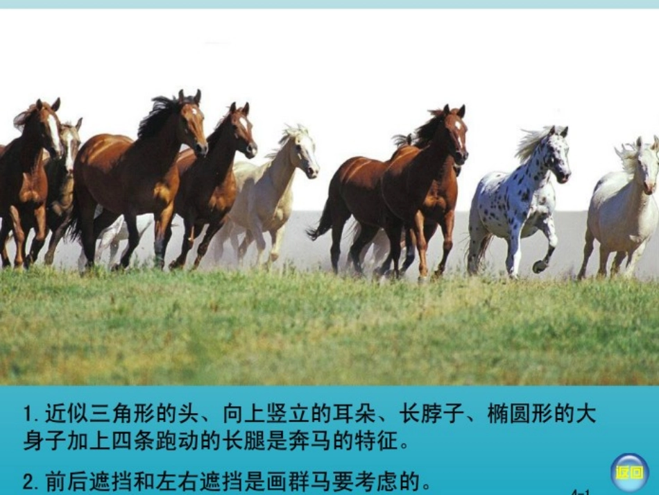 二年级美术下册第4课动物聚会_第2页