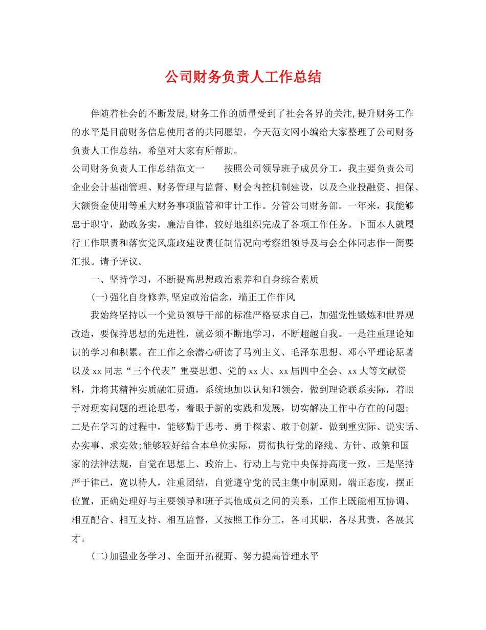 公司财务负责人工作总结 _第1页