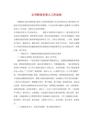 公司财务负责人工作总结 