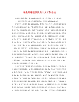 粮食局稽查队队员个人工作总结 