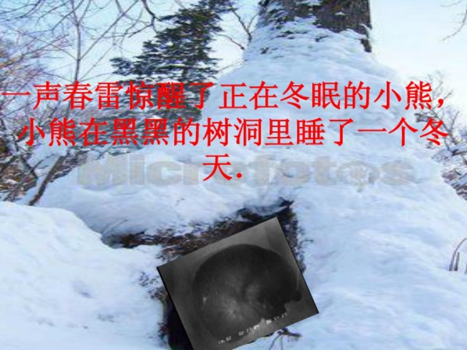 春天的色彩课件_第3页