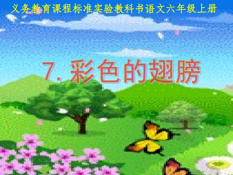 《彩色的翅膀》课件_第1页