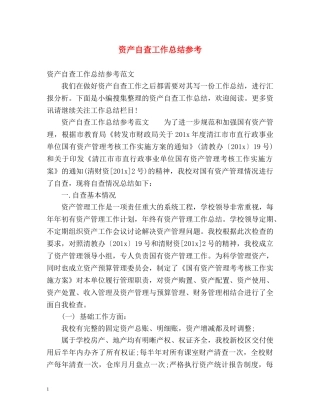 资产自查工作总结参考2 