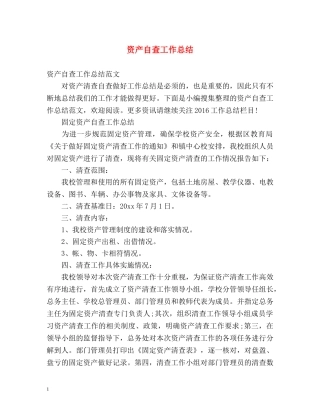 资产自查工作总结2 