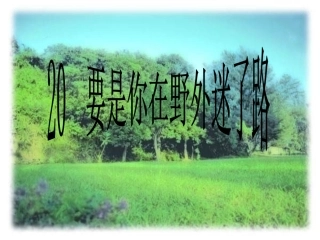 要是你在野外迷了路课件