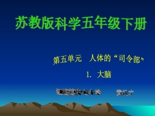 五年级科学《大脑》