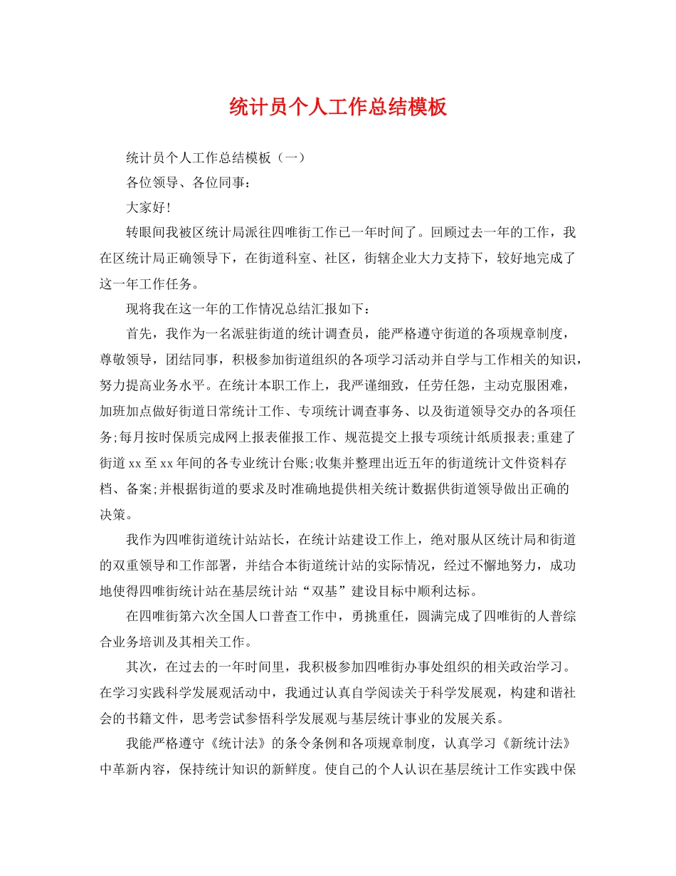 统计员个人工作总结模板 _第1页