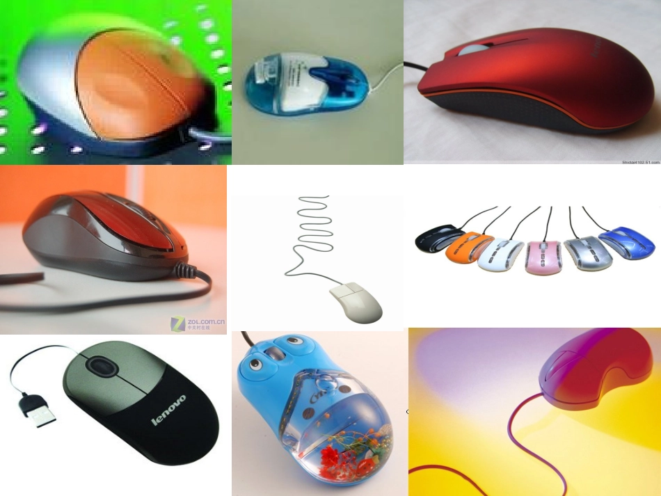 可爱的鼠标课件_第1页