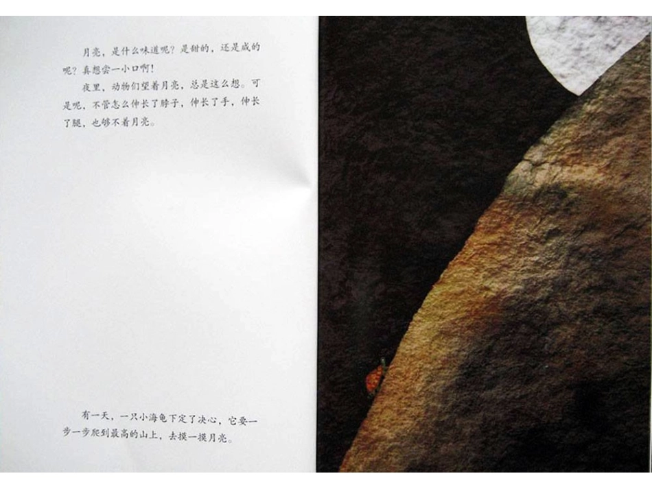绘本故事-月亮的味道_第3页