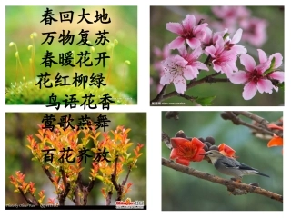 找春天 ()