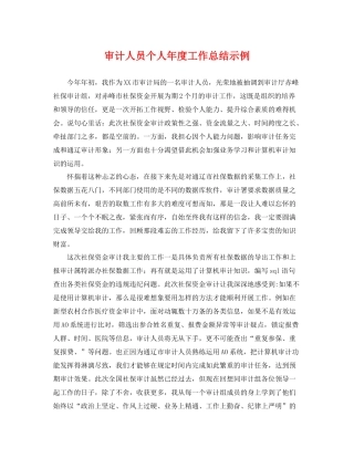 审计人员个人年度工作总结示例 