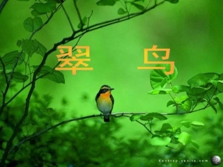 小学语文S版三年级下册《翠鸟》PPT