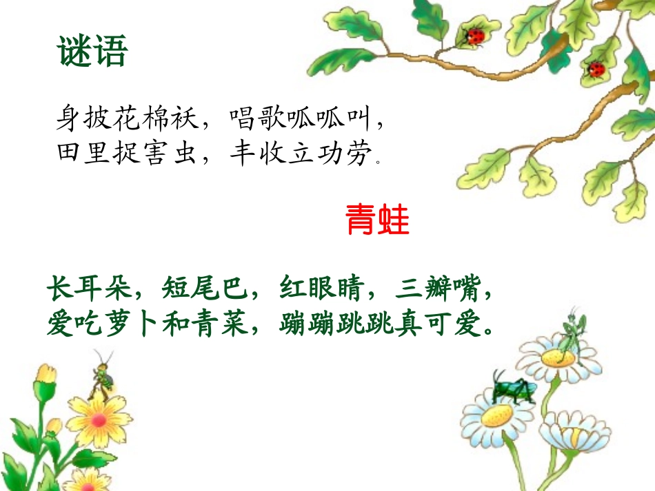 _小白兔和小灰兔_第2页