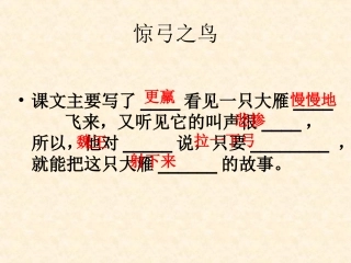 惊弓之鸟 (3)
