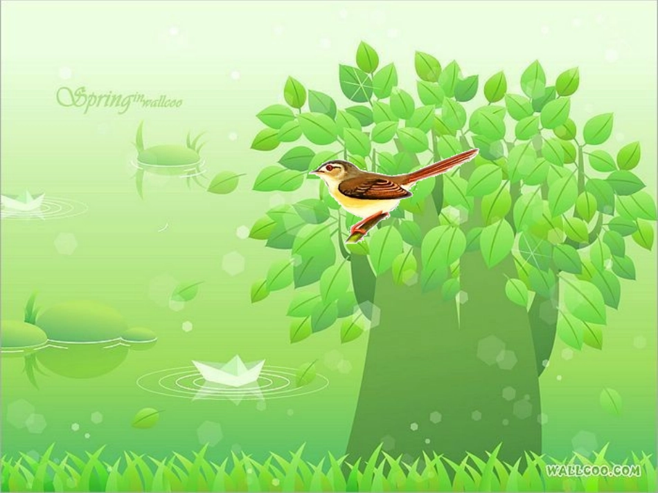 顽皮的杜鹃 (2)_第2页