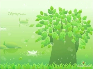 顽皮的杜鹃 (2)