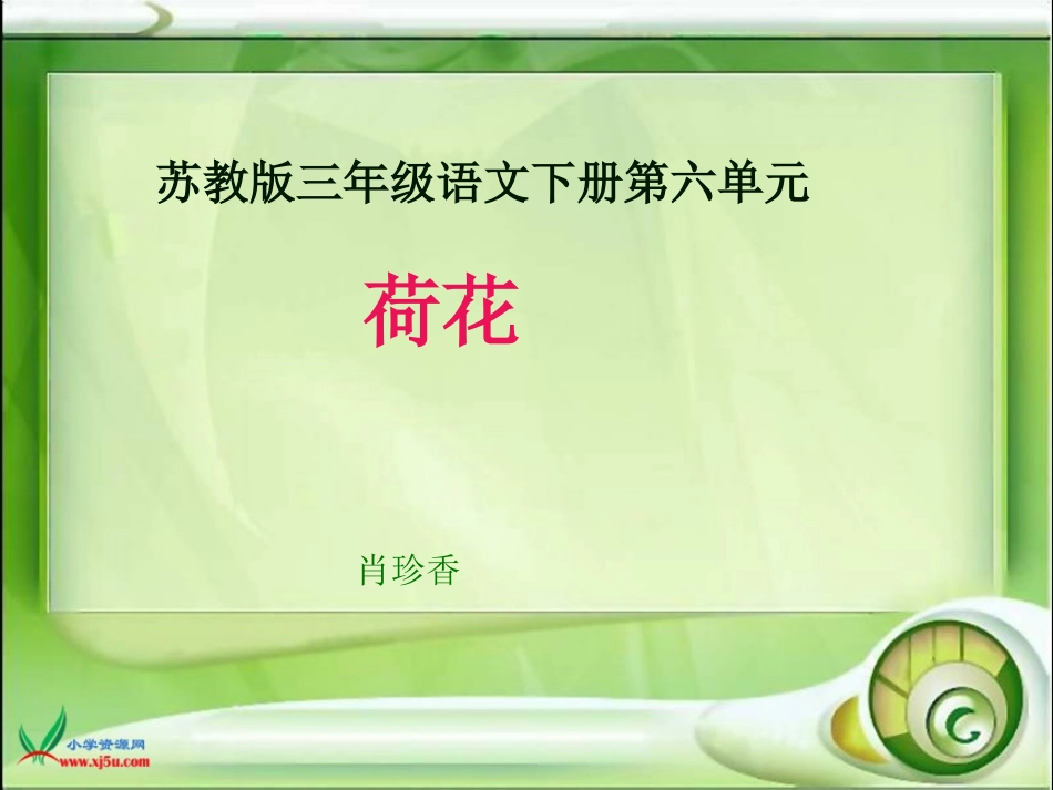 荷花课件(人教版语文三年级下册)_第1页