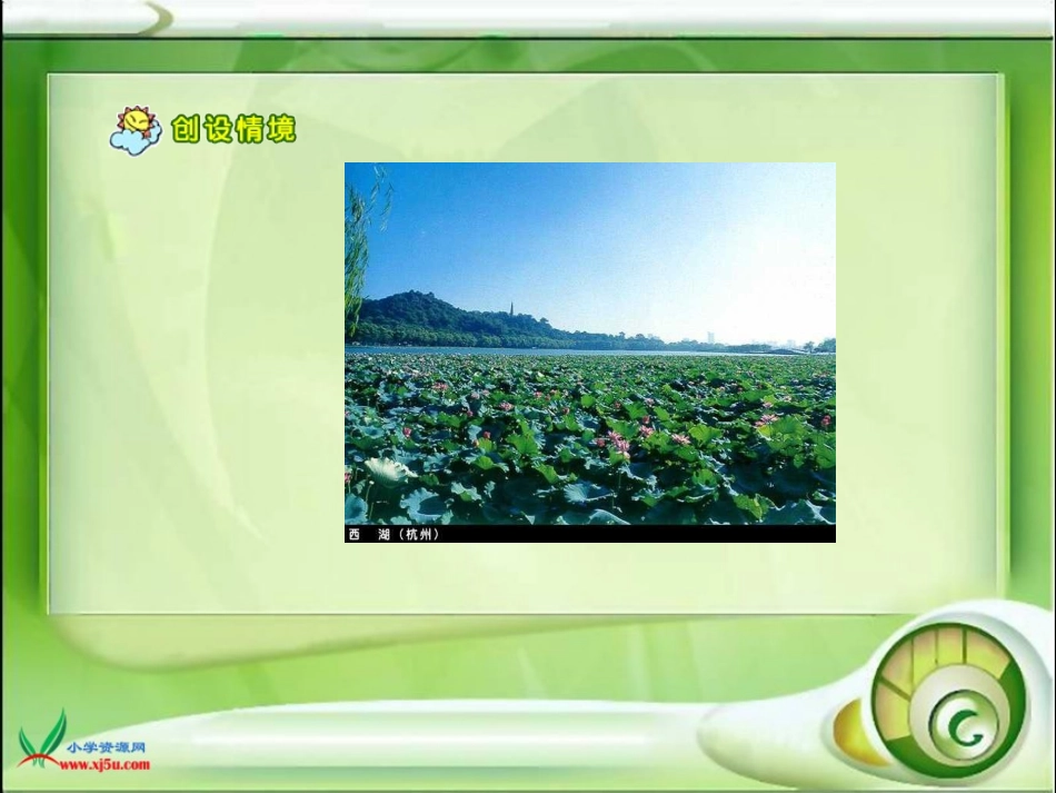 荷花课件(人教版语文三年级下册)_第3页