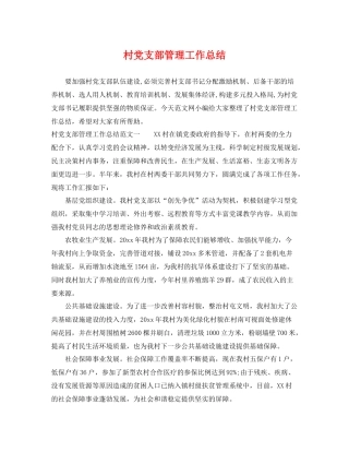 村党支部管理工作总结 
