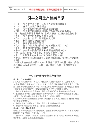 某某公司生产档案