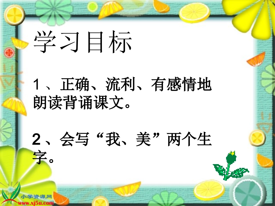 《荷叶圆圆》课件PPT_第3页