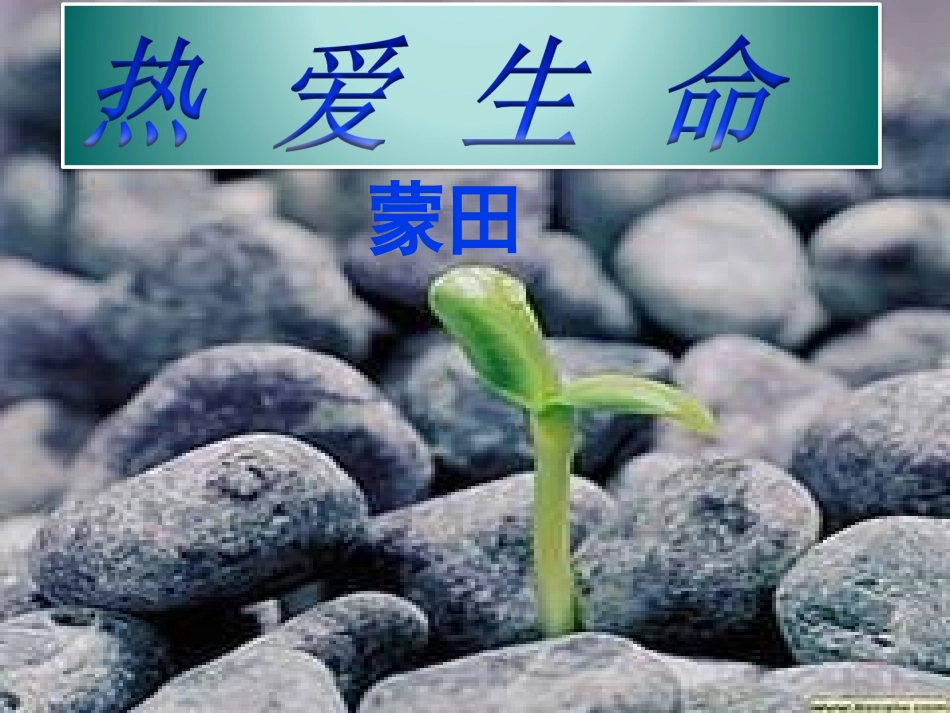 《热爱生命》 (2)_第2页