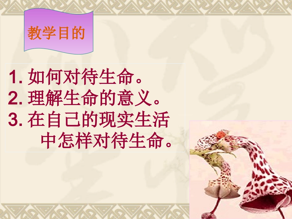 《热爱生命》 (2)_第3页