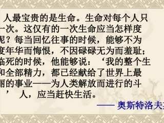 《热爱生命》 (2)