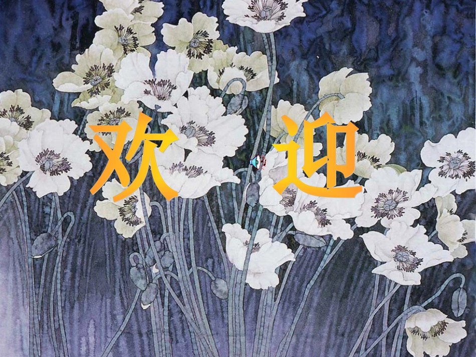 课文影子课件_第1页