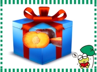 《李子核》课件