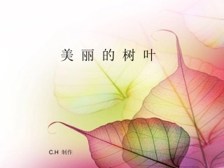 儿童画线描课件—美丽的树叶