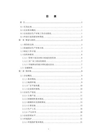 民达报告清洁生产审核报告