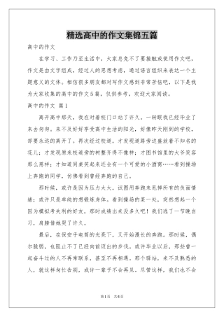 高中的作文集锦五篇