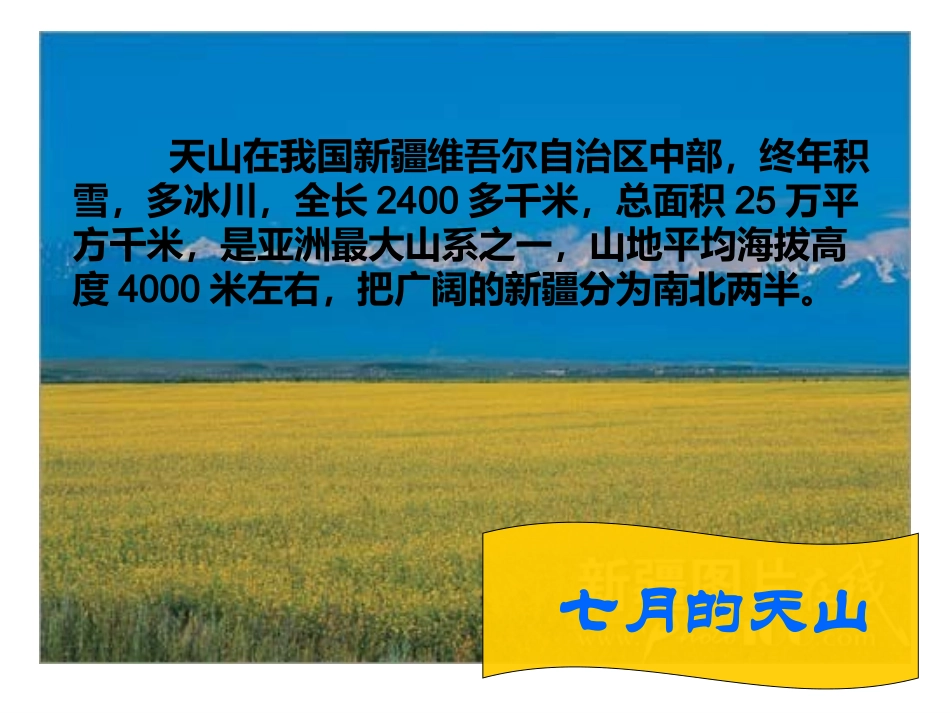 七月的天山 ()_第2页