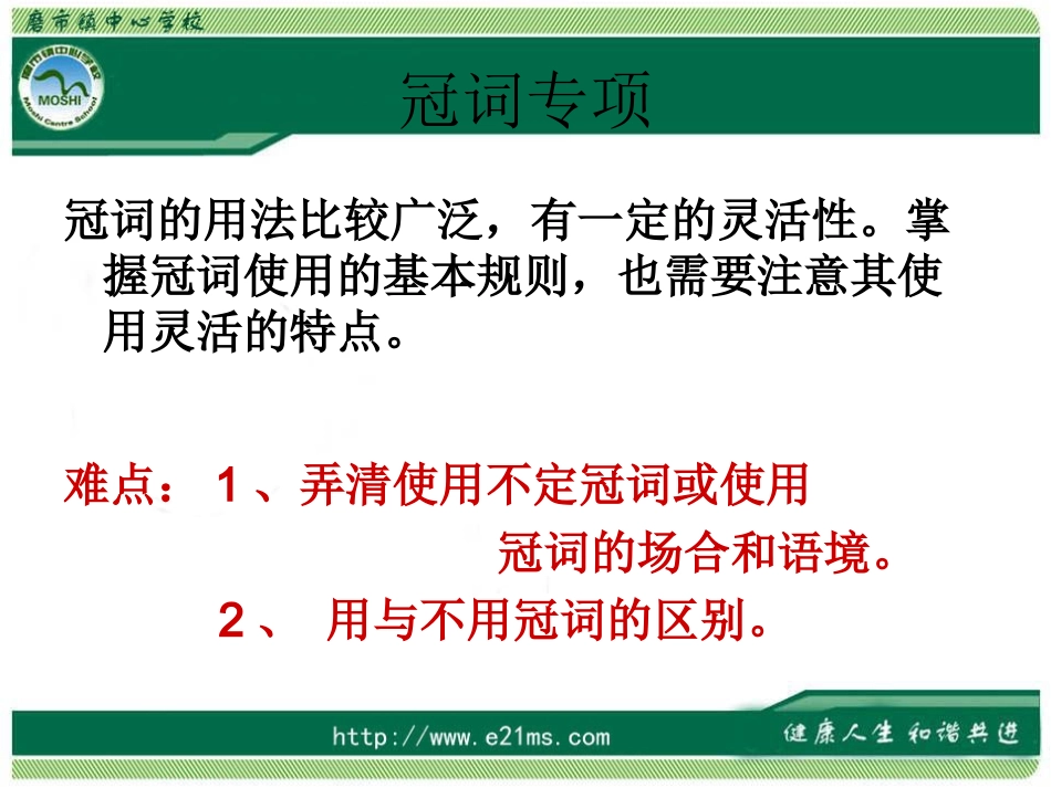 中考复习-冠词_第2页