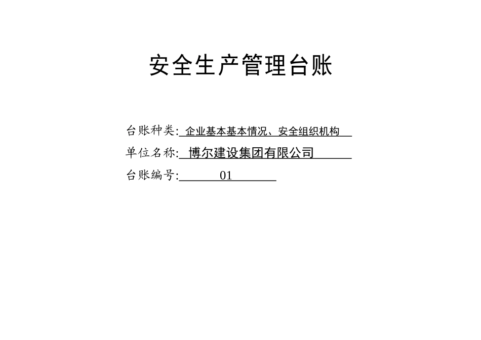 水利安全生产管理台账-01_第3页