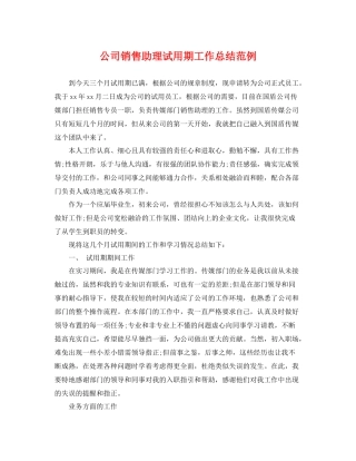 公司销售助理试用期工作总结范例 