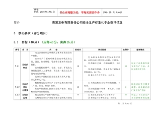 电力安全生产标准化达标评分表syh