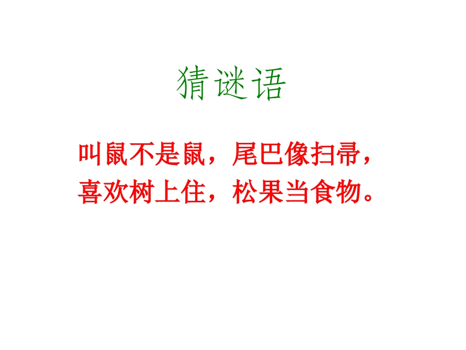 上课专用22《跑进家来的松鼠》优秀课件_第1页