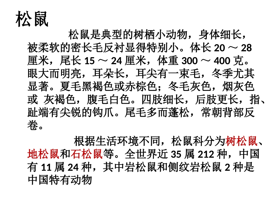 上课专用22《跑进家来的松鼠》优秀课件_第3页
