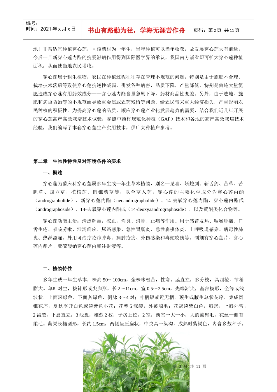 穿心莲生产实用技术_第2页