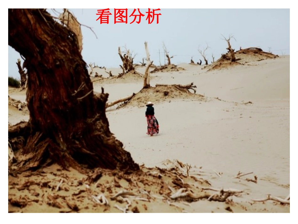 长沙县第七中学地理邹序亮自然环境的整体性_第3页