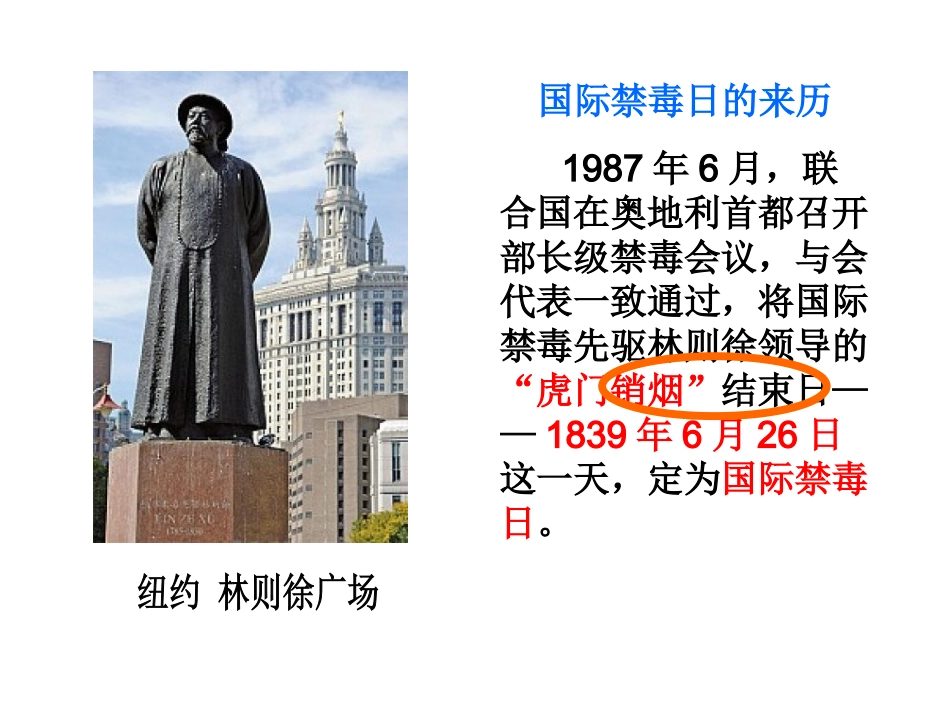 鸦片战争的烽烟 (4)_第2页