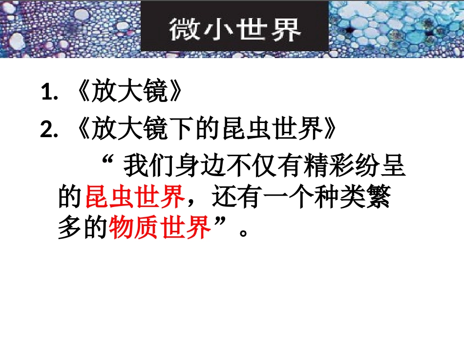 -：《放大镜下的晶体》_第1页